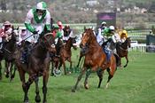 Photography 00-Loose-Horse-Balko-Dange-2 from 13-3-26 CHELTENHAM