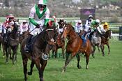 Photography 00-Loose-Horse-Balko-Dange-4 from 13-3-26 CHELTENHAM