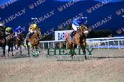 Photography 017Beauparc-Nicola-Burns from 13-3-26 DUNDALK image