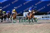 Photography 018Beauparc-27 from 13-3-26 DUNDALK