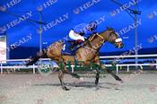Photography 020Beauparc-40 from 13-3-26 DUNDALK