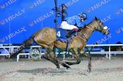 Photography 023Beauparc-43 from 13-3-26 DUNDALK