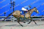 Photography 024Beauparc-44 from 13-3-26 DUNDALK