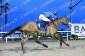 Photography 025Beauparc-45 from 13-3-26 DUNDALK