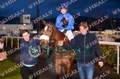 Photography 027Beauparc-Lin4 from 13-3-26 DUNDALK