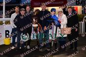 Photography 034Beauparc-r9 from 13-3-26 DUNDALK