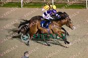 Photography 067Flanker-Jet-07 from 13-3-26 DUNDALK