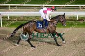Photography 079Lady-Landhort-Reece-Holohan from 13-3-26 DUNDALK