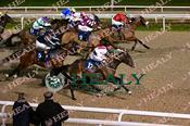 Photography 081Lady-Landhort-06 from 13-3-26 DUNDALK