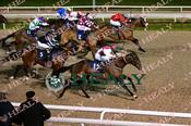 Photography 082Lady-Landhort-07 from 13-3-26 DUNDALK