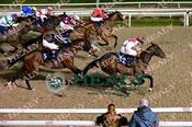Photography 084Lady-Landhort-09 from 13-3-26 DUNDALK