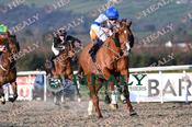 Photography 118Tyson-Fury-26 from 13-3-26 DUNDALK