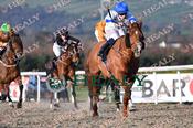 Photography 119Tyson-Fury-27 from 13-3-26 DUNDALK