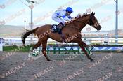 Photography 121Tyson-Fury-94 from 13-3-26 DUNDALK