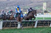 Cheltenham 14-March-2026

Healy Racing