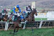 Cheltenham 14-March-2026

Healy Racing