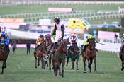Photography 130Air-Of-Entitlement-56 from 13-3-26 CHELTENHAM