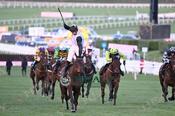 Photography 133Air-Of-Entitlement-59 from 13-3-26 CHELTENHAM