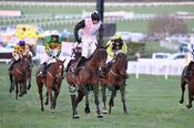 Photography 135Air-Of-Entitlement-86 from 13-3-26 CHELTENHAM