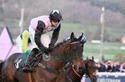 Photography 136Air-Of-Entitlement-105 from 13-3-26 CHELTENHAM