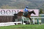 Photography 179All-The-Glory-JJON from 13-3-26 CHELTENHAM