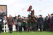 Photography 193Apolon-De-Charnie-Lin8 from 13-3-26 CHELTENHAM
