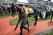 Photography 294Berto-Ramirez-r2 from 13-3-26 CHELTENHAM