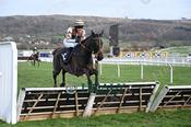 Photography 296Bowmore-DJMcC from 13-3-26 CHELTENHAM