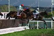 Photography 356Firefox-03 from 13-3-26 CHELTENHAM image