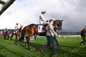 Photography 357Gaelic-Warrior-PT from 13-3-26 CHELTENHAM