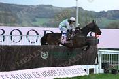 Photography 361Gaelic-Warrior-03 from 13-3-26 CHELTENHAM