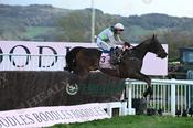 Photography 362Gaelic-Warrior-04 from 13-3-26 CHELTENHAM