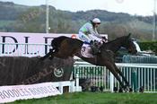 Photography 363Gaelic-Warrior-05 from 13-3-26 CHELTENHAM