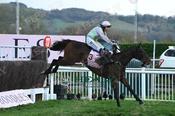 Photography 364Gaelic-Warrior-06 from 13-3-26 CHELTENHAM