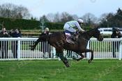 Photography 367Gaelic-Warrior-11 from 13-3-26 CHELTENHAM