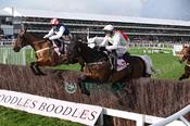 Photography 370Gaelic-Warrior-41 from 13-3-26 CHELTENHAM
