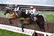 Photography 371Gaelic-Warrior-42 from 13-3-26 CHELTENHAM