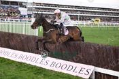 Photography 374Gaelic-Warrior-46 from 13-3-26 CHELTENHAM