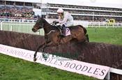 Photography 375Gaelic-Warrior-47 from 13-3-26 CHELTENHAM