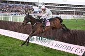 Photography 376Gaelic-Warrior-48 from 13-3-26 CHELTENHAM
