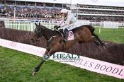 Photography 377Gaelic-Warrior-49 from 13-3-26 CHELTENHAM
