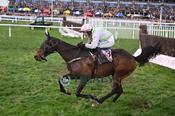 Photography 378Gaelic-Warrior-50 from 13-3-26 CHELTENHAM