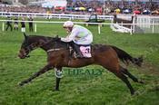 Photography 379Gaelic-Warrior-51 from 13-3-26 CHELTENHAM