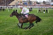 Photography 380Gaelic-Warrior-52 from 13-3-26 CHELTENHAM