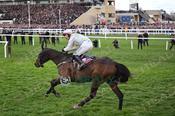 Photography 381Gaelic-Warrior-53 from 13-3-26 CHELTENHAM