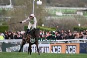 Photography 386Gaelic-Warrior-f1 from 13-3-26 CHELTENHAM