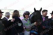 Photography 425Gaelic-Warrior-r18 from 13-3-26 CHELTENHAM
