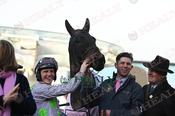 Photography 427Gaelic-Warrior-r20 from 13-3-26 CHELTENHAM