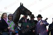 Photography 428Gaelic-Warrior-r21 from 13-3-26 CHELTENHAM