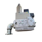 Ecoflam Gas Train MBZRDLE 410 Max Gas 170-250 image
